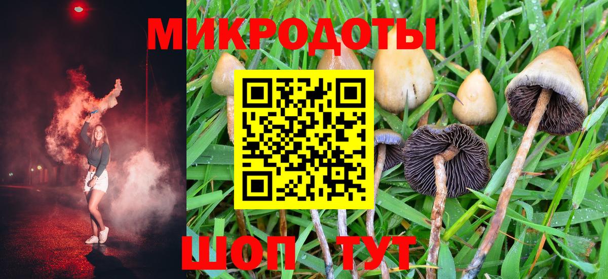 Псилоцибиновые грибы Psilocybine cubensis Магадан