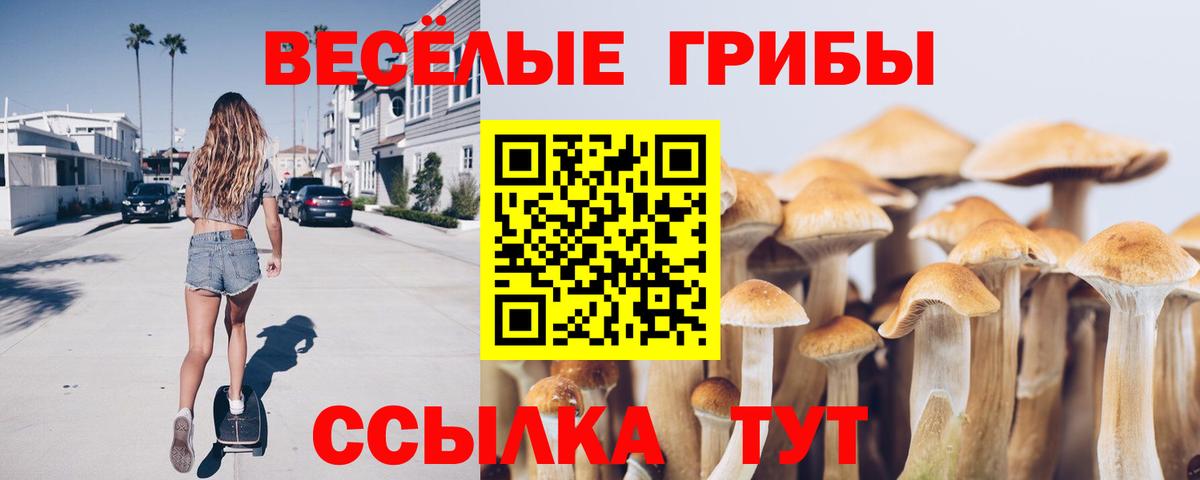 Магадан  купить наркотики цена  Вход с VPN  Псилоцибиновые грибы прущие грибы 